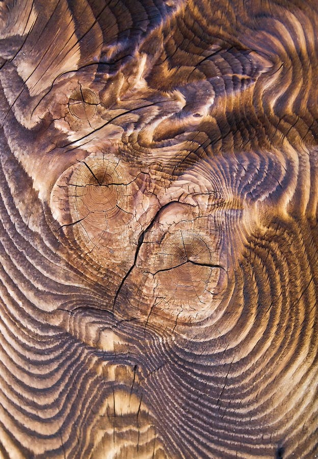 tarred trä för struktur arkivbilder tarred trä för struktur arkivbilder