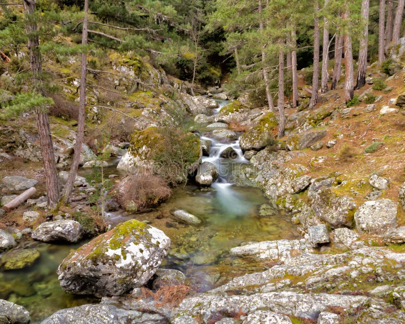 The Tartagine river near MausolÃ©o in Corsica stock photography