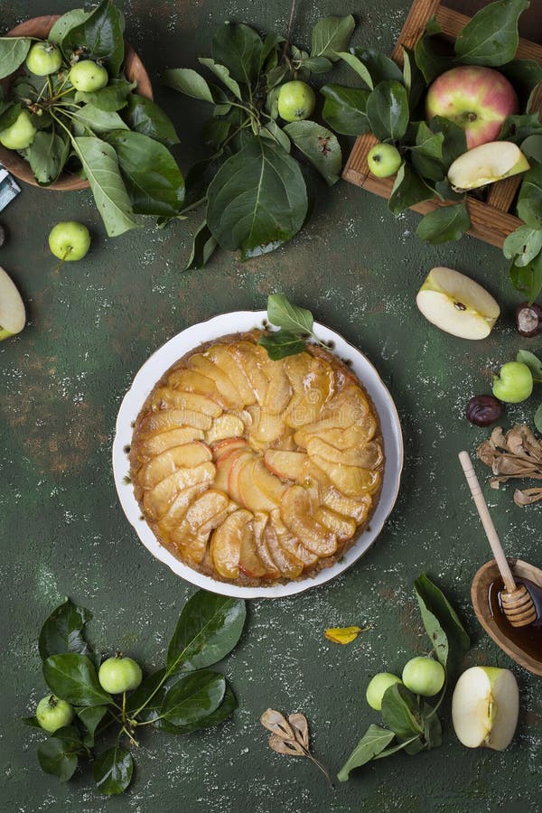 Tarte Tatin with apples stock image. Image of cinnamon - 121410231