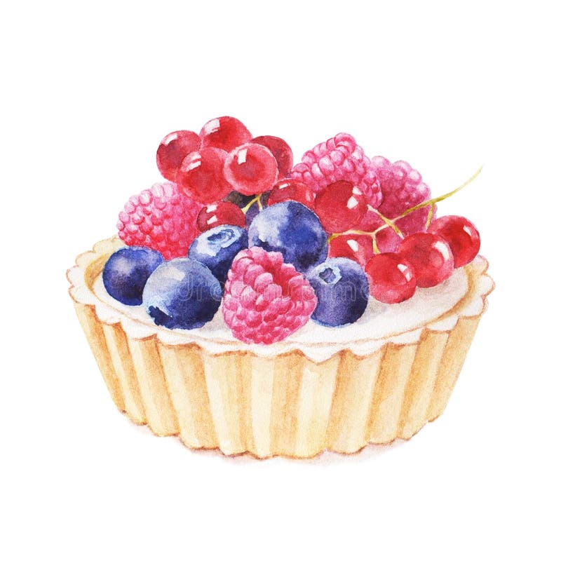 Tartlet with Fruit Hand Drawn Watercolor Illustration on White ...