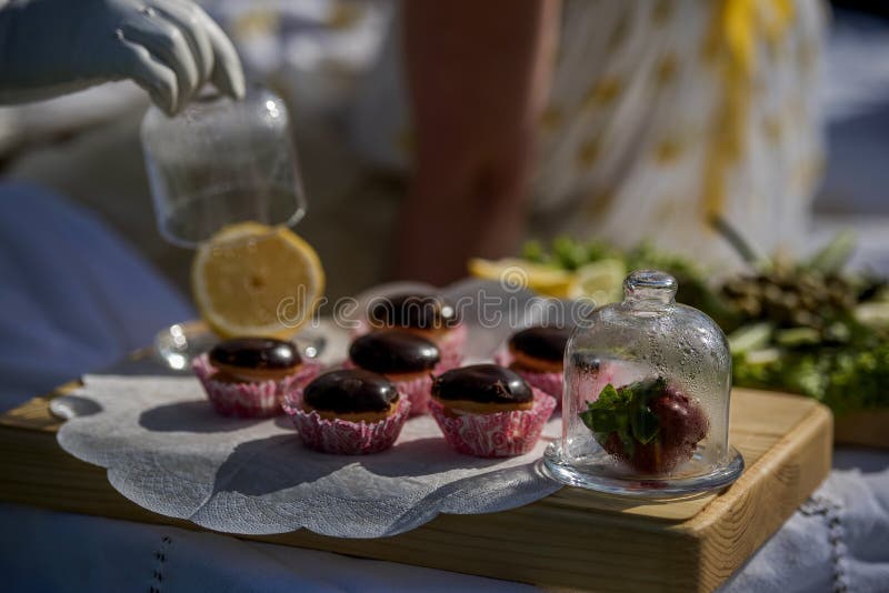 Tartlets mit Schokoladenzuckerglasur lizenzfreie stockbilder Tartlets mit Schokoladenzuckerglasur lizenzfreie stockbilder