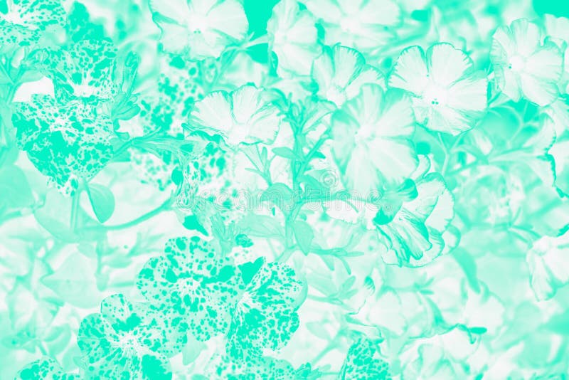 Taruga Verde E Gloxinia Branca Padrão Floral Imagem de Stock - Imagem de  backdrop, floral: 179208019