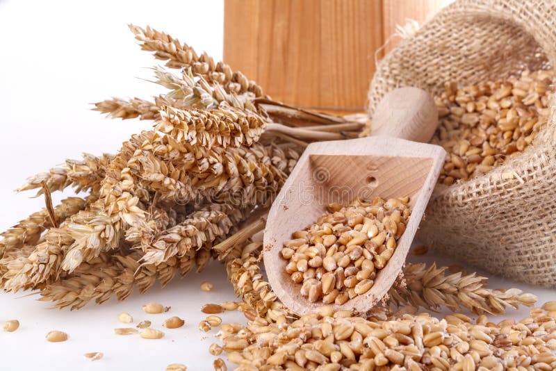 Tarwe stock afbeelding