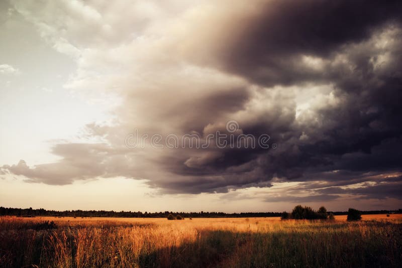Tarwegebied onder Dramatische Hemel met Donkere Wolken, het Naderbij komen Onweersbui, de Zomerlandschap stock afbeeldingen Tarwegebied onder Dramatische Hemel met Donkere Wolken, het Naderbij komen Onweersbui, de Zomerlandschap stock afbeeldingen