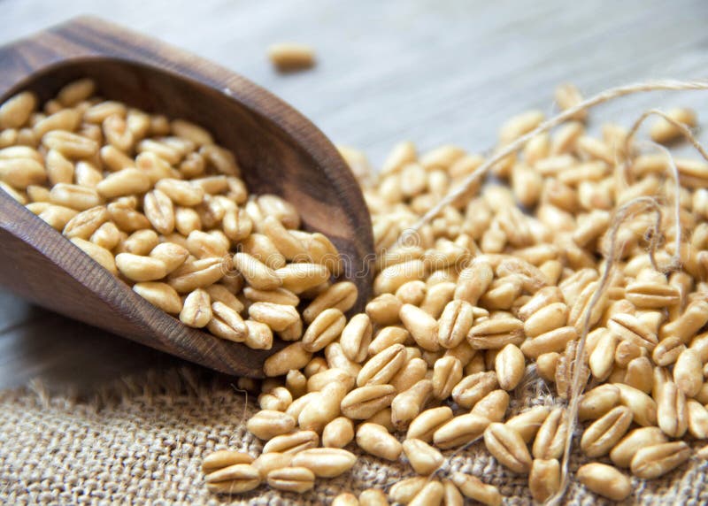 Tarwekorrels in een houten lepel royalty-vrije stock afbeeldingen