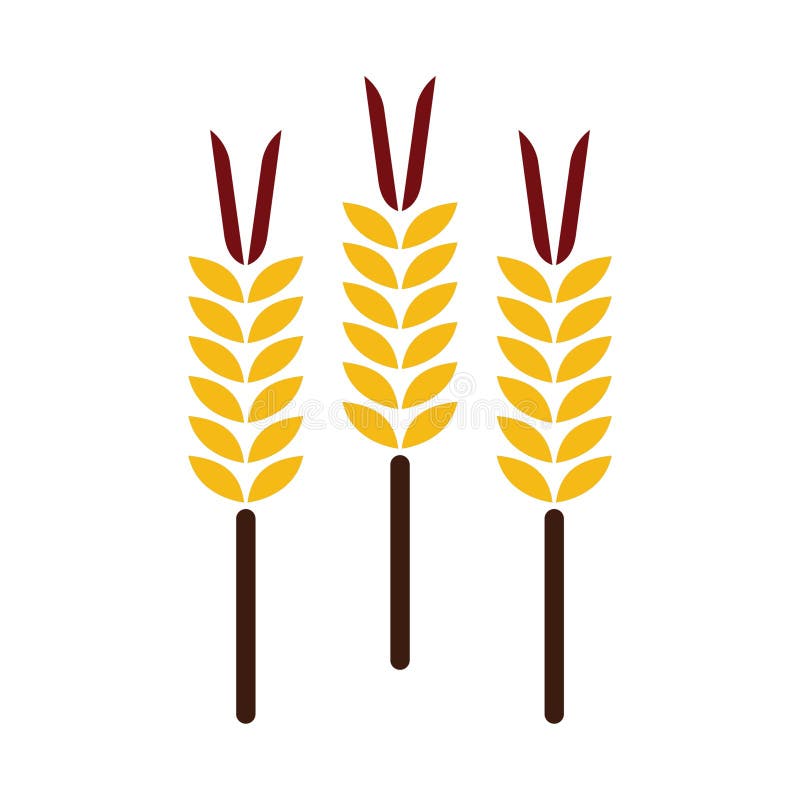 Tarwehalmen. Vectorillustratie decoratief ontwerp stock illustratie