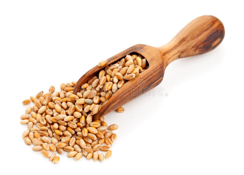 Tarwezaad royalty-vrije stock fotografie