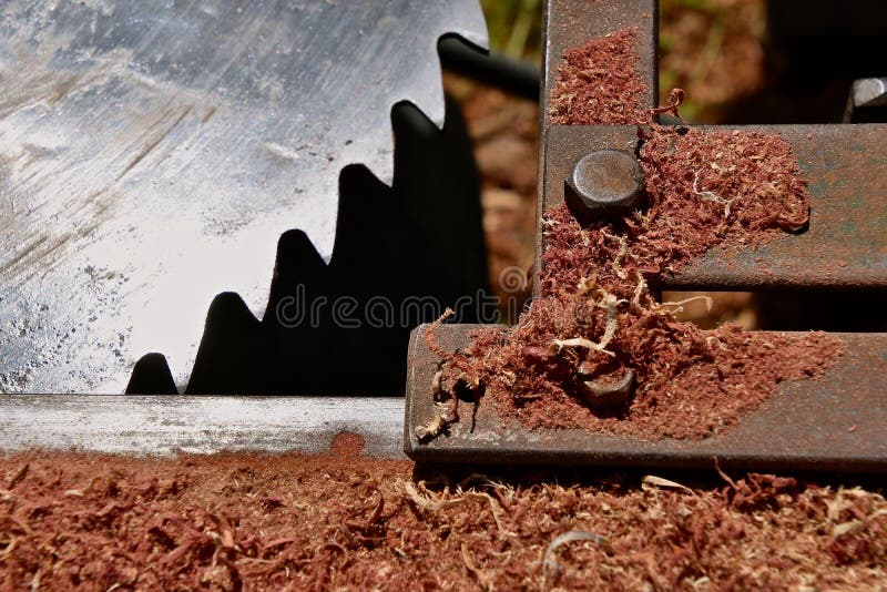 Copeaux De Cèdre Rouge Débordant Un Vieux Panier Photo stock - Image du  puce, vieux: 74057316