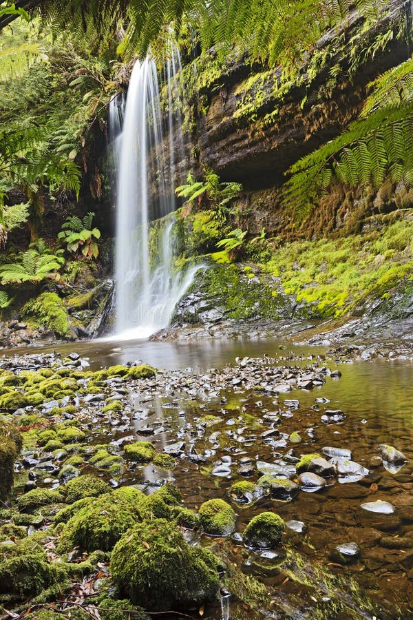 Tasmania Waterfall Mt Field Vertical