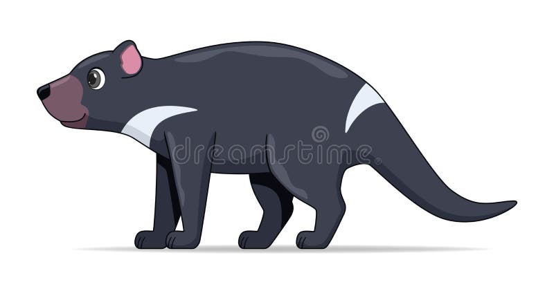 Tasmanian devil animal standing on a white background