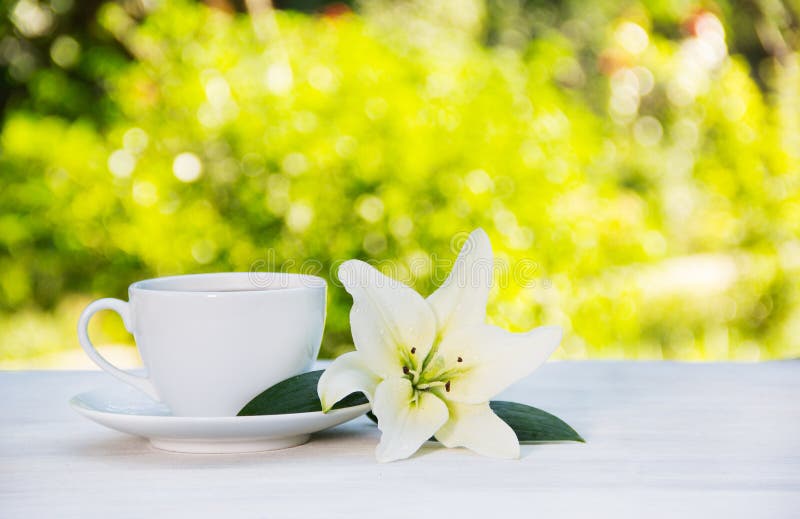 Belle Tasse À Café En Porcelaine Avec Des Fleurs Blanches Sur Une Table En  Verre Dans Un Jardin D'été Au Soleil. Vue De Dessus. Copiez L'espace.  Concept De Boissons D'été. Image et