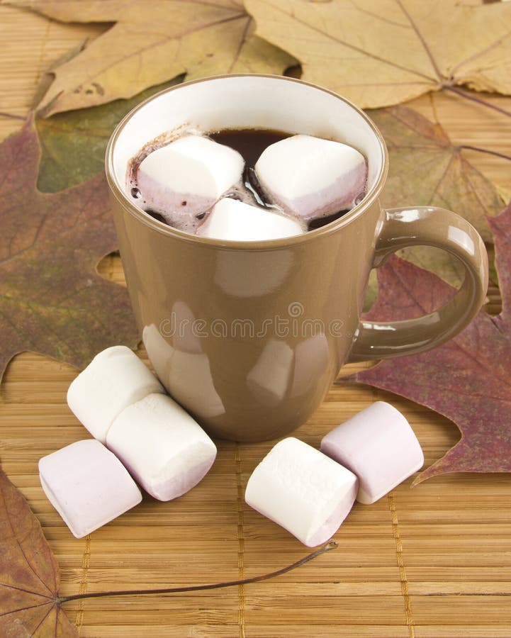 Vue Aérienne D'une Tasse De Chocolat Chaud Avec Des Mini Guimauves