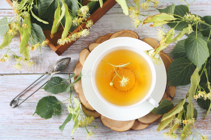Tasse Kräuterlinden-Tee mit Lindenblumen auf hellem Hintergrund lizenzfreies stockbild
