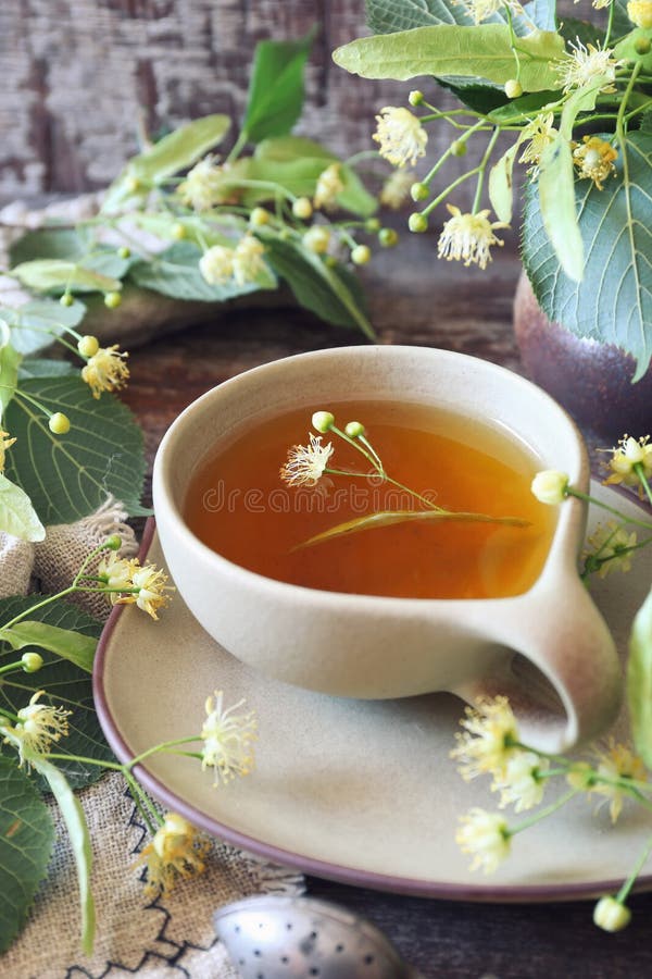 Tasse Kräuterlinden-Tee mit Lindenblumen stockfotografie
