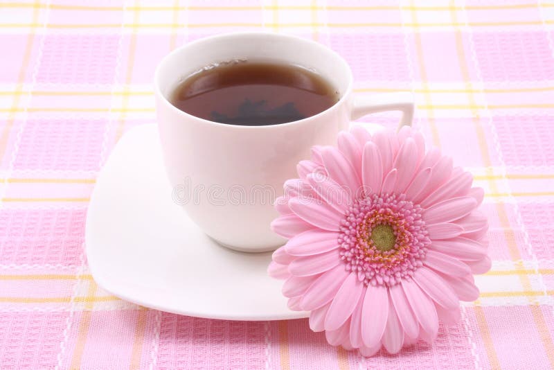 Tasse Tee lizenzfreie stockfotos Tasse Tee lizenzfreie stockfotos