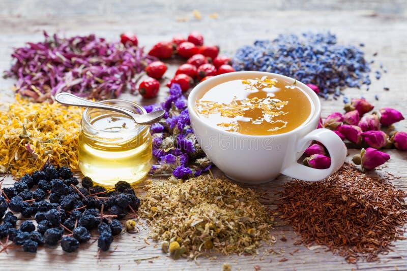 Tasse Tee, Honigglas, heilende Kräuter und Kräuterteezusammenstellung