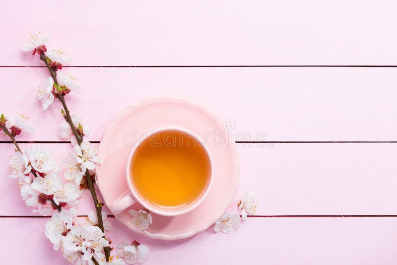 Tasse Tee und Frühlingsblumenblüte einer Aprikose auf einem hellrosa Holztisch lizenzfreies stockfoto Tasse Tee und Frühlingsblumenblüte einer Aprikose auf einem hellrosa Holztisch lizenzfreies stockfoto