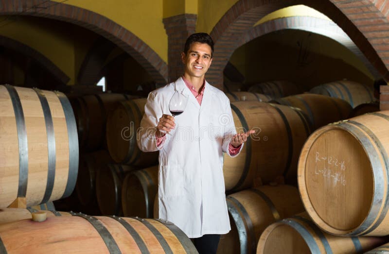 Taster of Winery Posing with Wine Stock Photo Image of industry