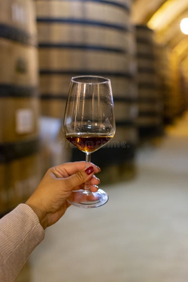 Tasting of fortified dry or sweet marsala wine in vintage wine cellar with old oak barrels in Marsala, Sicily, Italy