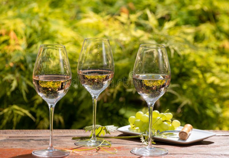 Tasting of Pinot gridgio rose wine on winery in Veneto, Italy. Glasses of cold dry wine served outdoor in sunny day royalty free stock image