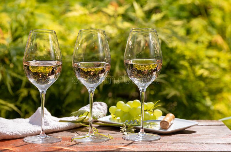 Tasting of Pinot gridgio rose wine on winery in Veneto, Italy. Glasses of cold dry wine served outdoor in sunny day stock photo