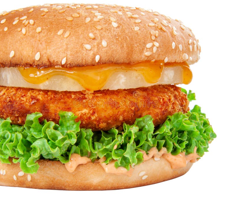 Tasty American Grill Burger Isolated on the White Stock Photo Image