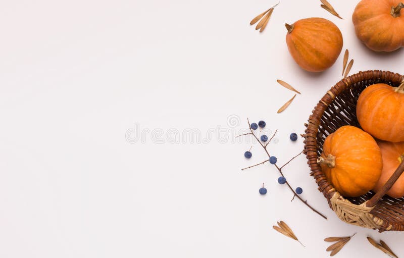 Tasty autumn harvest of orange pumpkins in plate on white