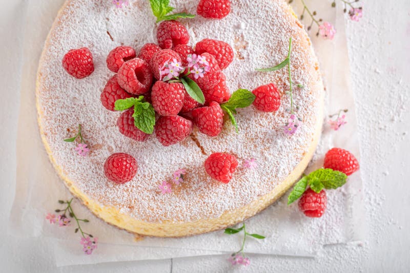 Cheesecake in Powdered Sugar Stock Image Image of delicious, macro