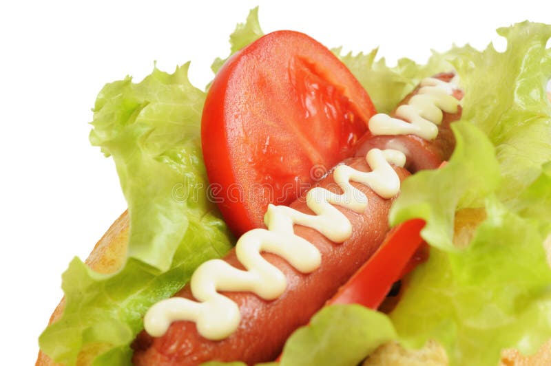 Tasty and delicious hotdog