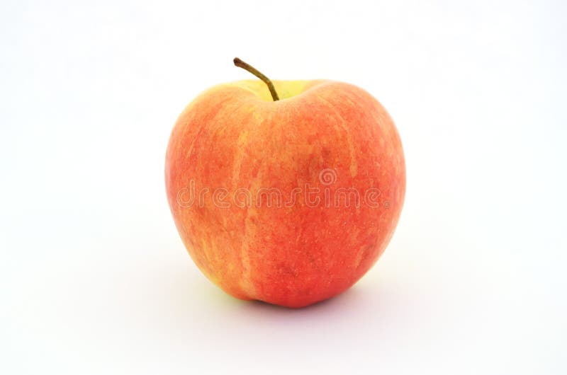 Tasty fall apple fruit red and yellow photography