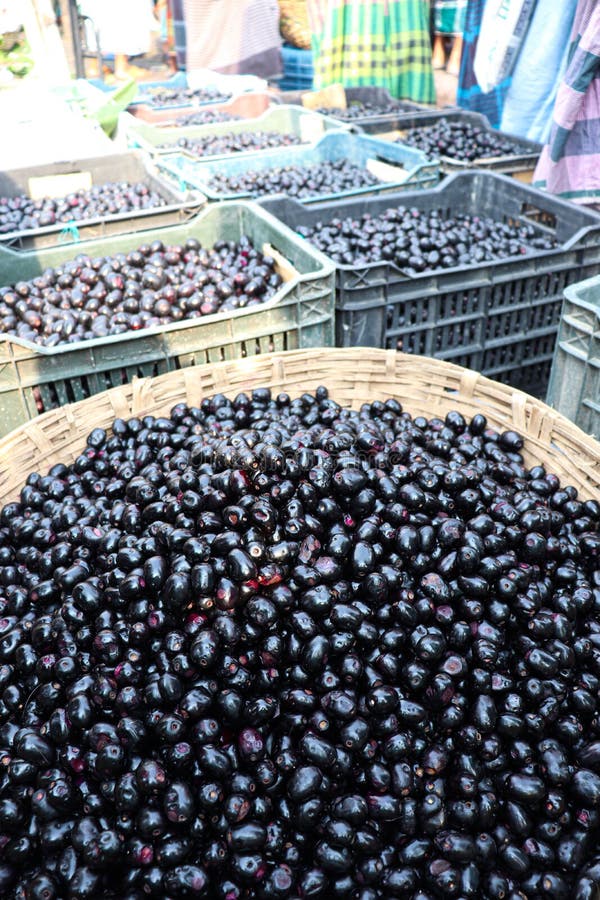 Black java plum stock on shop stock photography