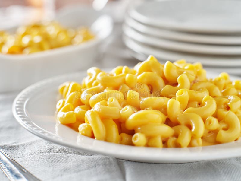 Tasty mac and cheese on plate close up royalty free stock photos Tasty mac and cheese on plate close up royalty free stock photos