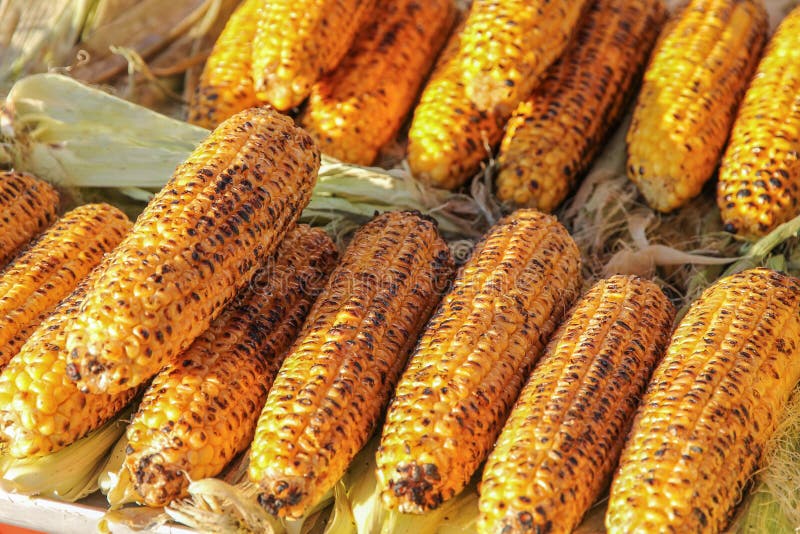 The tasty, sweet, cooked, hot corn on the table.