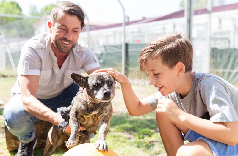 Dad and his son taking care of abandoned dog in animal shelter playing with him. Dad and his son taking care of abandoned dog in animal shelter playing with him