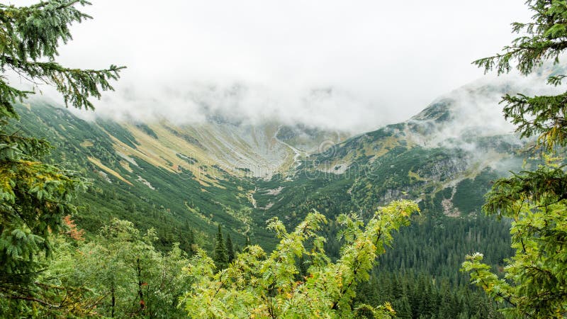 Tatra mountain forest in Slovakia covered with clouds