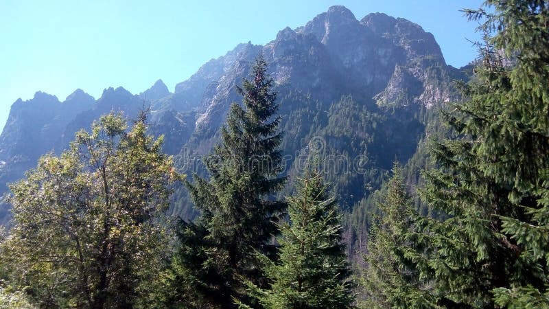 Tatry