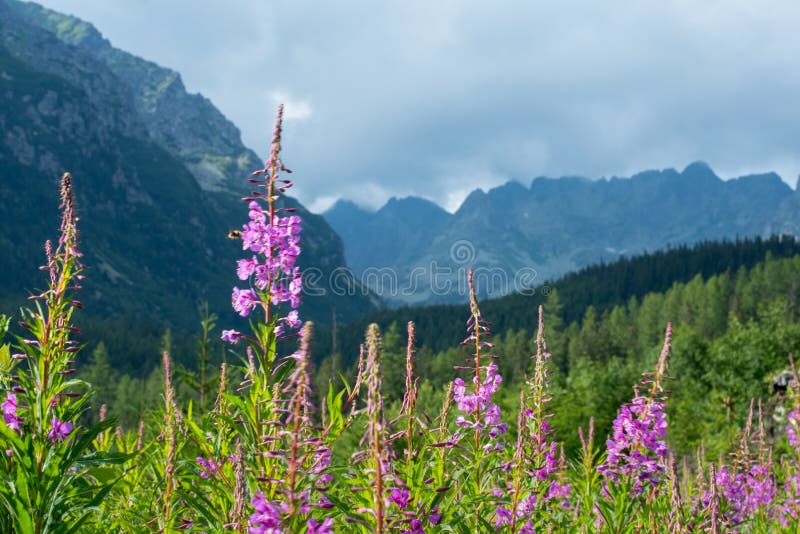 Tatra National Park, Slovakia