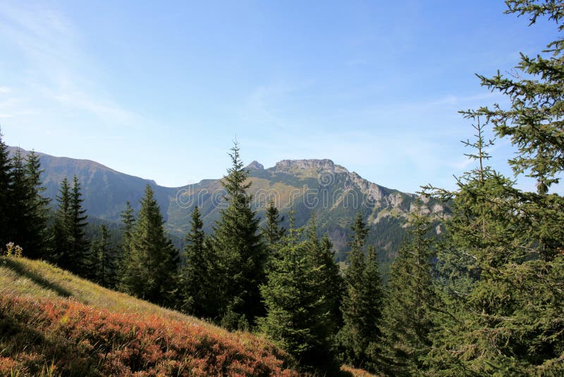 tatra Польши гор стоковое фото rf tatra Польши гор стоковое фото rf