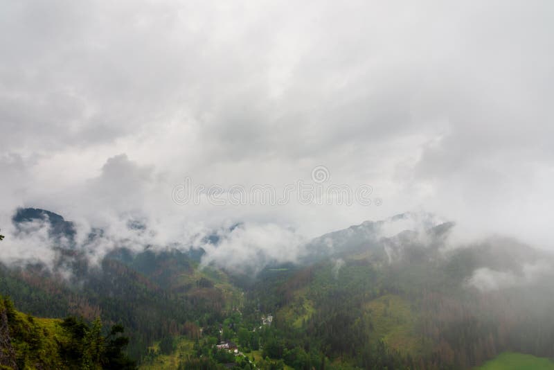 Tatry. Krásne zelené lesy pokryté hmlou a oblakmi