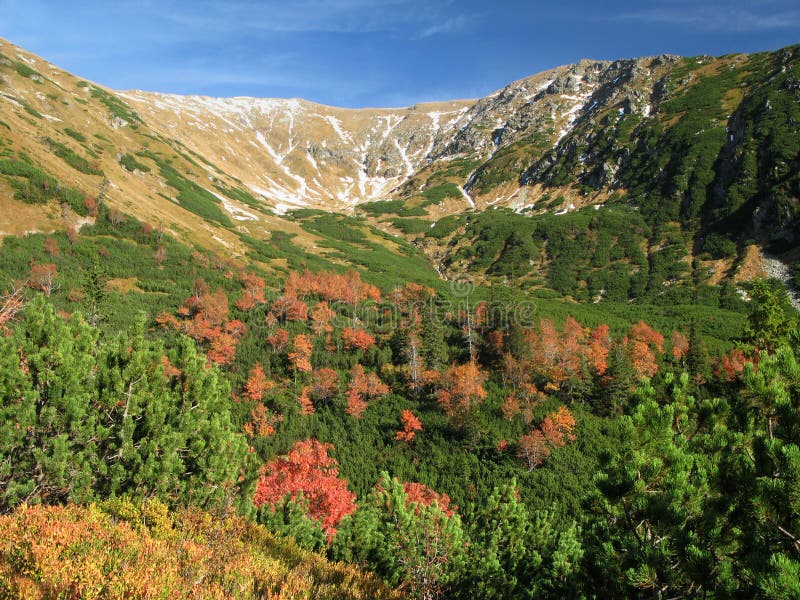 Tatry - upper part of Jamnicka valley