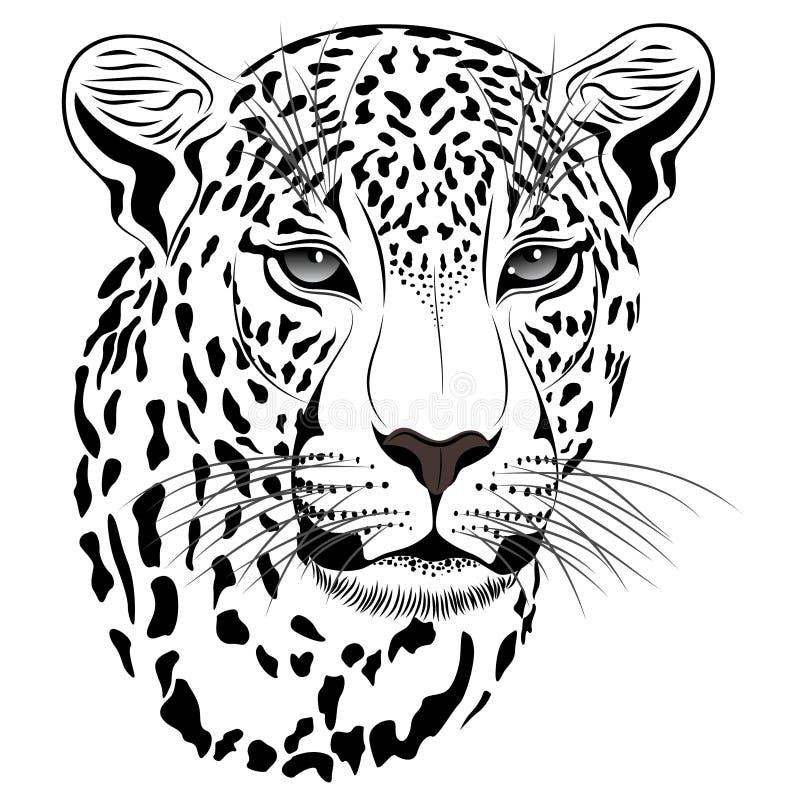 Tattoo леопарда иллюстрация вектора. иллюстрации насчитывающей иллюстрация  - 19051931