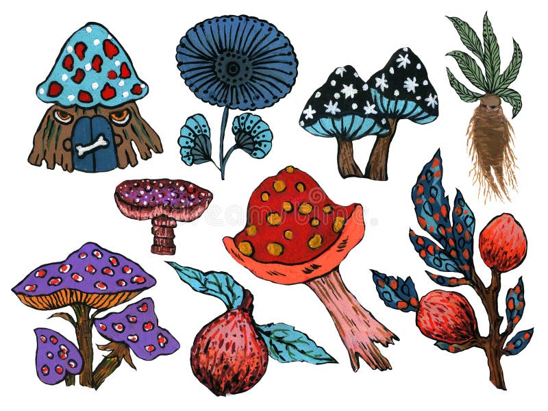 Tattoo Cartoon Old School Style Watercolor Rainforest Mushroom, Ginseng,  Pomegranate Elements for Wrapping Paper, Cards, Posters Stock Illustration  - Illustration of paint, ginseng: 196490702