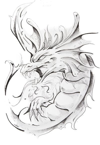 Tattoo Sketch Medieval Dragon Stock Illustrations – 405 Tattoo Sketch ...