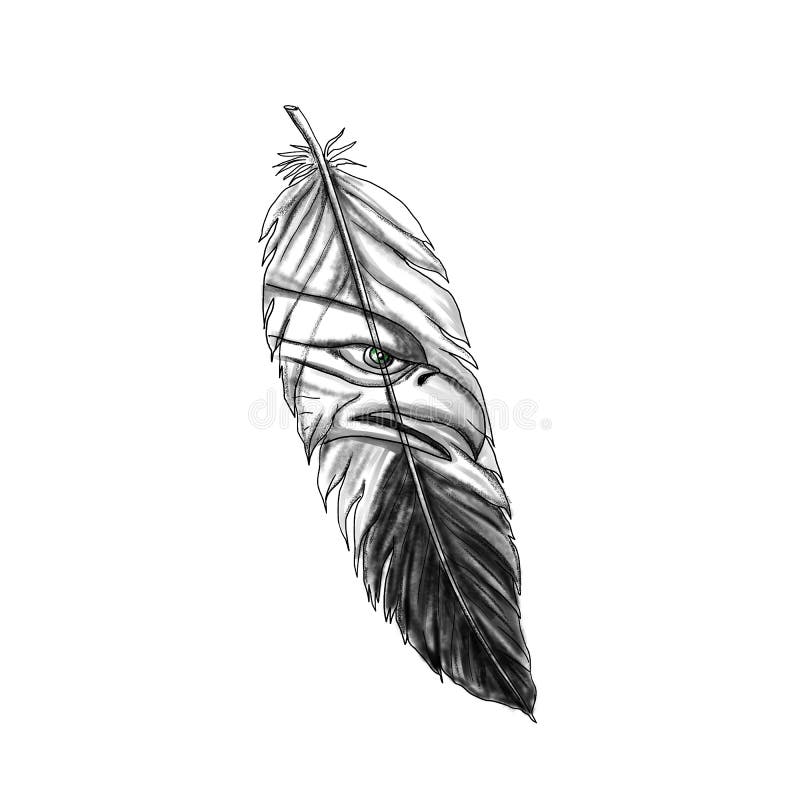 Easy Feather Drawing. How To Draw Step By Step. – Cass Galleas