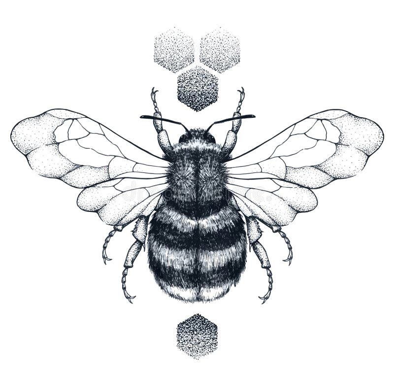 Tatuaggio dell'ape e del favo del miele Tatuaggio di Dotwork Simbolo di diligenza illustrazione vettoriale Tatuaggio dell'ape e del favo del miele Tatuaggio di Dotwork Simbolo di diligenza illustrazione vettoriale