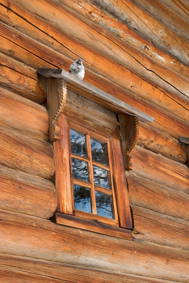 Die Taube sitzt im Fenster stockbild. Bild von farbe