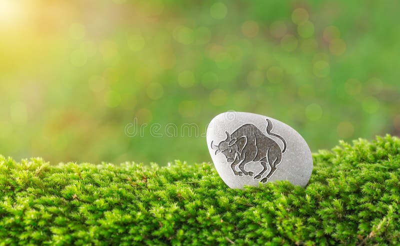 Taurus zodiac symbol in stone on grass with nature bokeh light background. Taurus zodiac symbol in stone on grass with nature bokeh light background