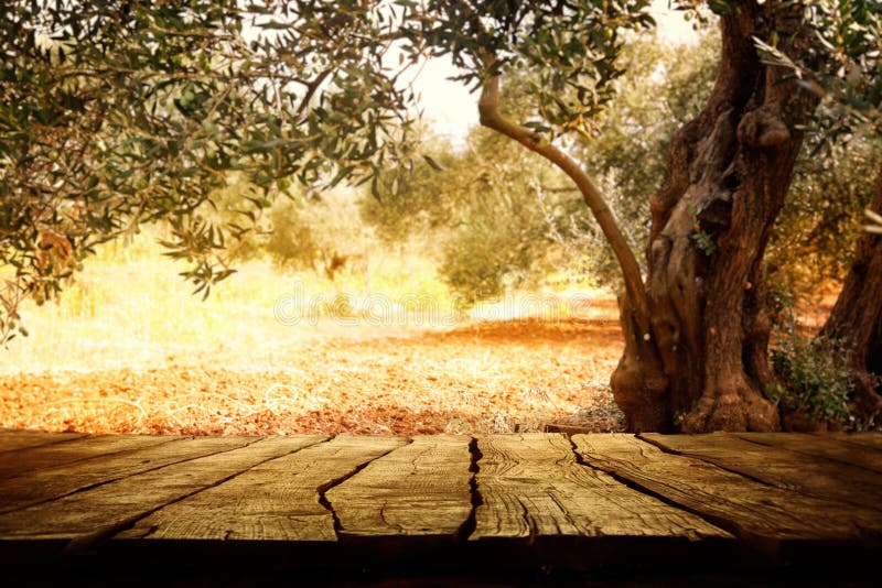 Tavola di legno con di olivo