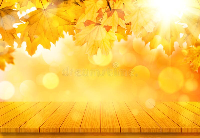 Tavola di legno con le foglie di acero arancio di caduta Sfondo naturale di autunno fotografia stock Tavola di legno con le foglie di acero arancio di caduta Sfondo naturale di autunno fotografia stock