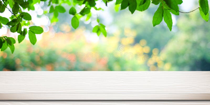 Tavola di legno d'annata bianca vuota sopra il backgr vago della natura del parco